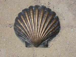 Way-from-Pamplona-Scallop-shell